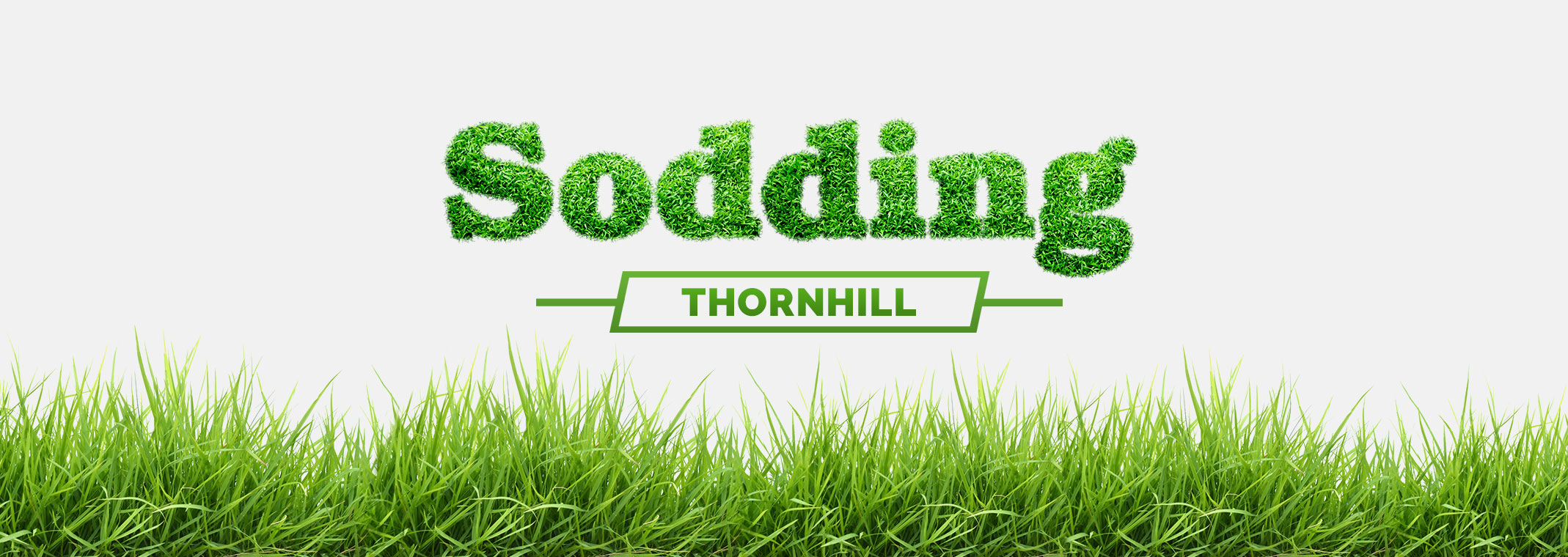 Thornhill